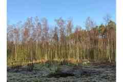 BSG-Nieuwjaarweekend-Bosbeek_jan2026_042