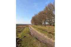 BSG-Nieuwjaarweekend-Bosbeek_jan2026_044