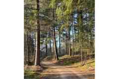 BSG-Nieuwjaarweekend-Bosbeek_jan2026_048