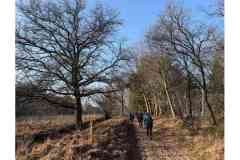 BSG-Nieuwjaarweekend-Bosbeek_jan2026_049