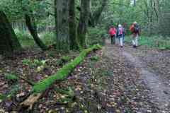 Nivon-BSG-Ardennen-weekend-5_6-okt-201951