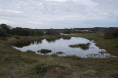 BSG_strand_wandeling_sept2017-25