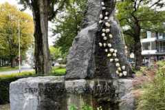 Nivon-BSG-lustrum-50jr_8okt22_Niek_03