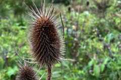 Nivon-BSG-lustrum-50jr_8okt22_Niek_07