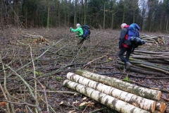 Bivak Hastiere zon 28jan2018-07