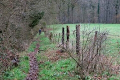 Bivak Hastiere zon 28jan2018-43