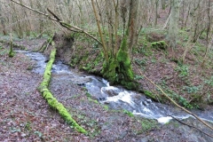 Bivak Hastiere zon 28jan2018-44