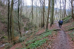 Bivak Hastiere zon 28jan2018-48