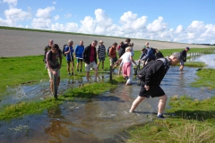 Wadlopen_2_sept17-04