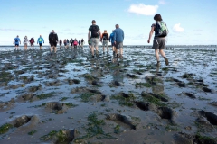 Wadlopen_2_sept17-05