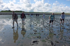 Wadlopen_2_sept17-06