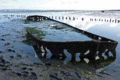 Wadlopen_2_sept17-07