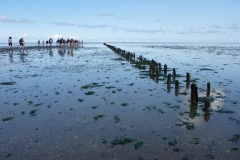 Wadlopen_2_sept17-08