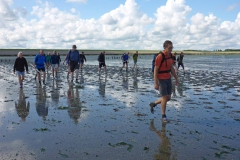 Wadlopen_2_sept17-09