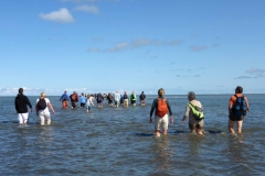 Wadlopen_2_sept17-11
