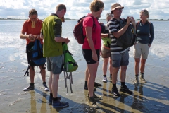 Wadlopen_2_sept17-13