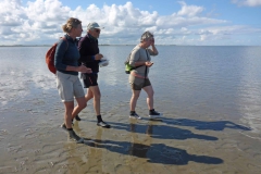 Wadlopen_2_sept17-14