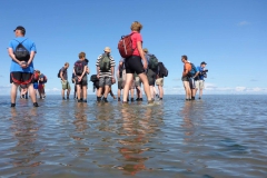 Wadlopen_2_sept17-17