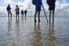 Wadlopen_2_sept17-18