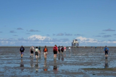 Wadlopen_2_sept17-22