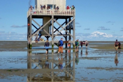 Wadlopen_2_sept17-23