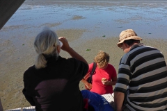 Wadlopen_2_sept17-31