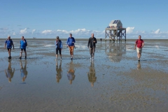 Wadlopen_2_sept17-35