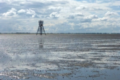 Wadlopen_2_sept17-36