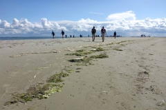 Wadlopen_2_sept17-37