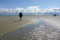 Wadlopen_2_sept17-39