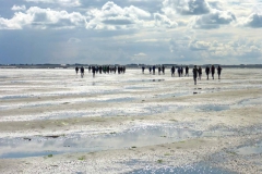 Wadlopen_2_sept17-40