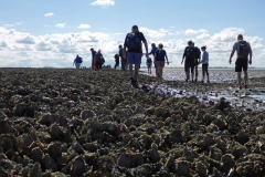 Wadlopen_2_sept17-41