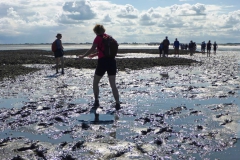 Wadlopen_2_sept17-42