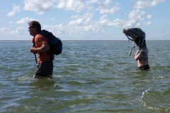 Wadlopen_2_sept17-44