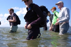 Wadlopen_2_sept17-45