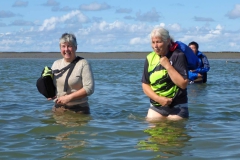 Wadlopen_2_sept17-46