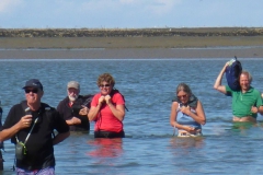 Wadlopen_2_sept17-48