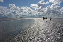 Wadlopen_2_sept17-49