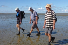 Wadlopen_2_sept17-50