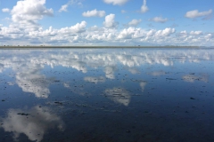 Wadlopen_2_sept17-51