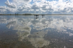 Wadlopen_2_sept17-52