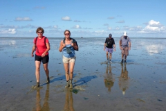 Wadlopen_2_sept17-53