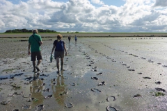 Wadlopen_2_sept17-55