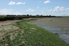 Wadlopen_2_sept17-56