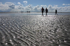 Wadlopen__2_sept17_059-1