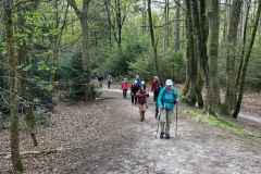 BSG-wandeling-Holl-Rading-13-april-25_130