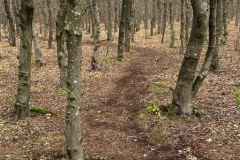 BSG-wandeling-Holl-Rading-13-april-25_170