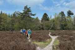 BSG-wandeling-Holl-Rading-13-april-25_180