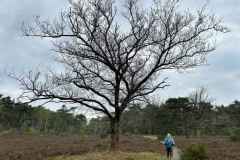 BSG-wandeling-Holl-Rading-13-april-25_40