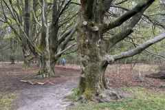 BSG-wandeling-Holl-Rading-13-april-25_50